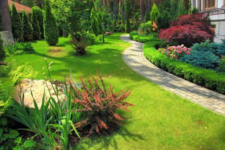 Why Regular Landscape Maintenance Is Essential Thumbnail