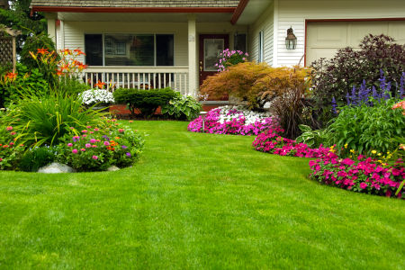 Landscape Maintenance